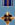 Distinguished Flying Cross